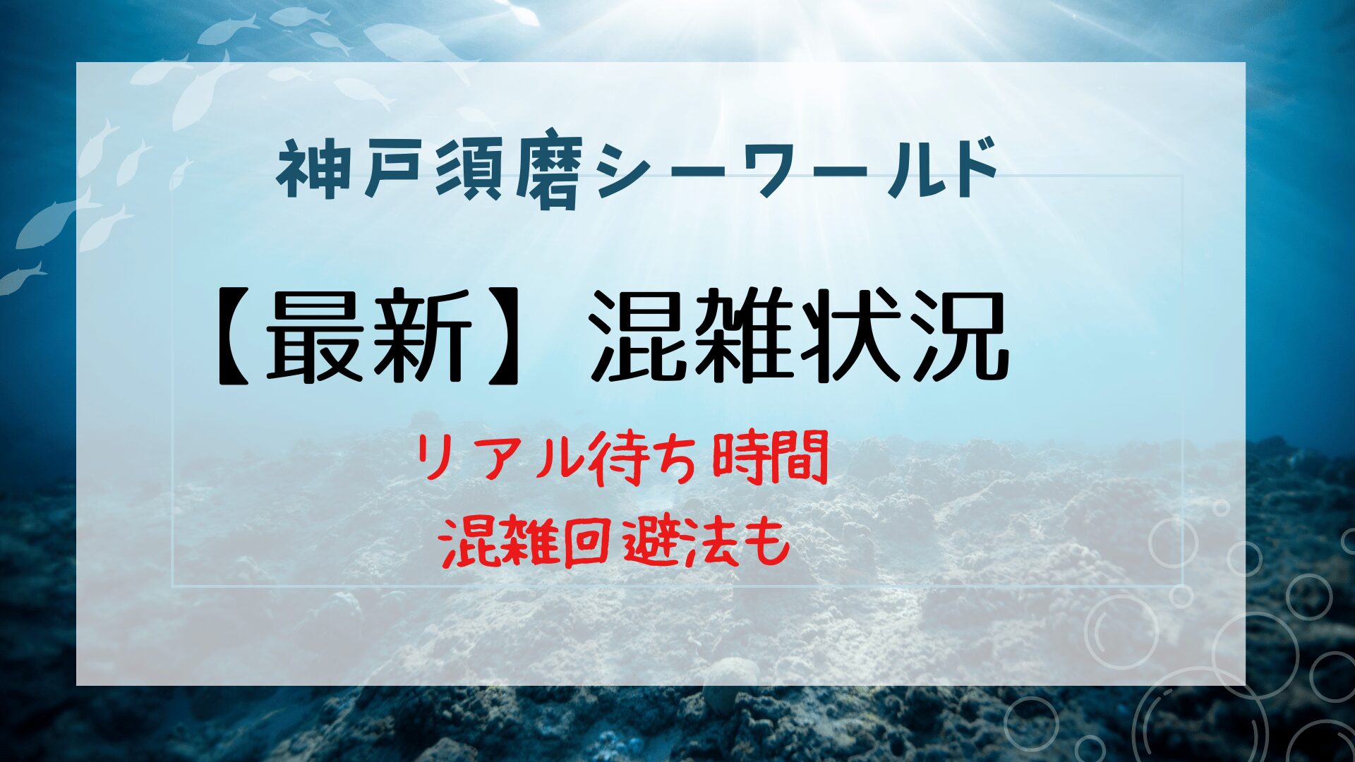 須磨シーワールド混雑状況